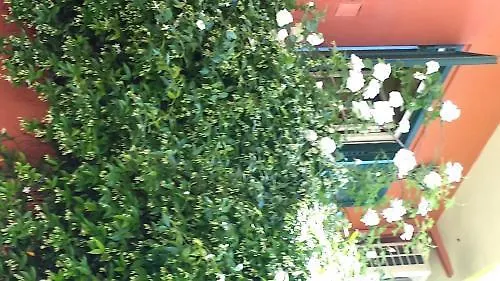 Emi'S Guest House Ρώμη